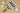 One Pickleball Paddle Set