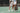 Pickleball Paddles and Bags
