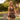 Recess Pickleball Bra Stevie Crop Bra - Espresso