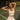Recess Pickleball Bra Stevie Crop Bra - White
