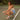 Recess Pickleball Shorts Play Nice Sport Shorts